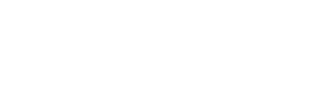 Ege Tur Transfer